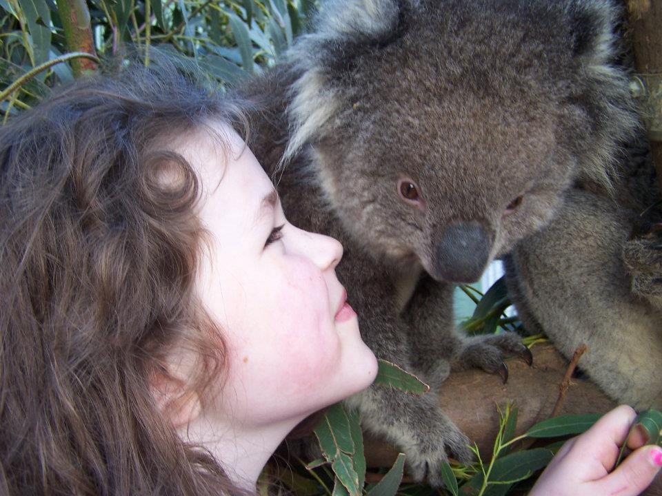 Fauna Australia Wildlife Retreat Lavers Hill Zewnętrze zdjęcie