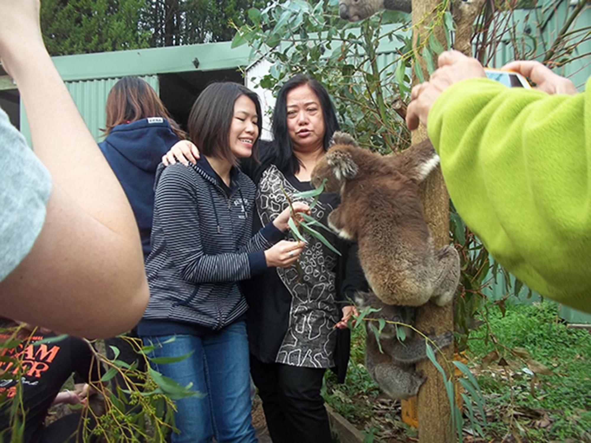 Fauna Australia Wildlife Retreat Lavers Hill Zewnętrze zdjęcie