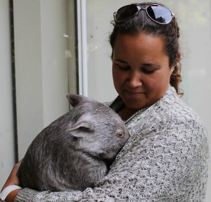 Fauna Australia Wildlife Retreat Lavers Hill Zewnętrze zdjęcie