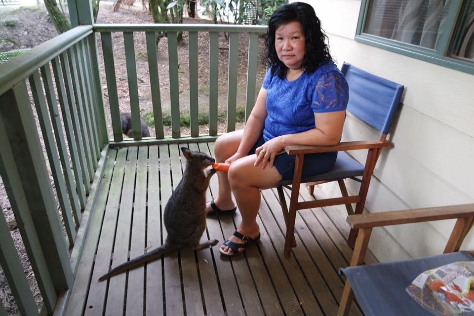 Fauna Australia Wildlife Retreat Lavers Hill Zewnętrze zdjęcie