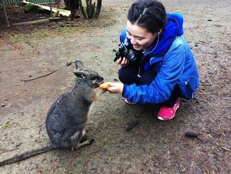 Fauna Australia Wildlife Retreat Lavers Hill Zewnętrze zdjęcie