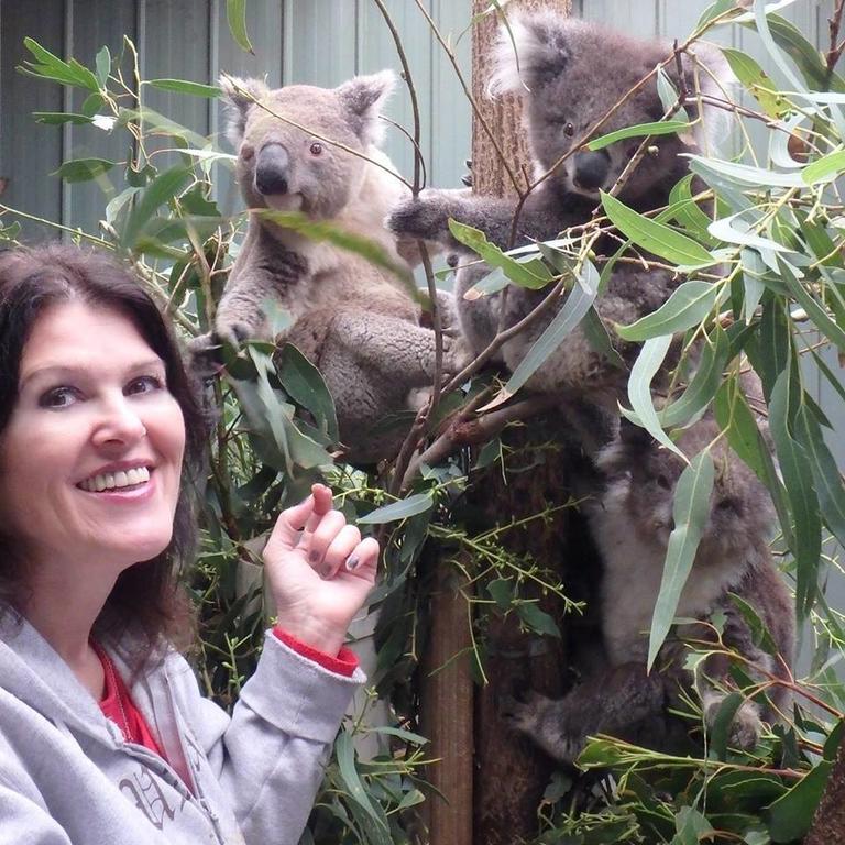 Fauna Australia Wildlife Retreat Lavers Hill Zewnętrze zdjęcie