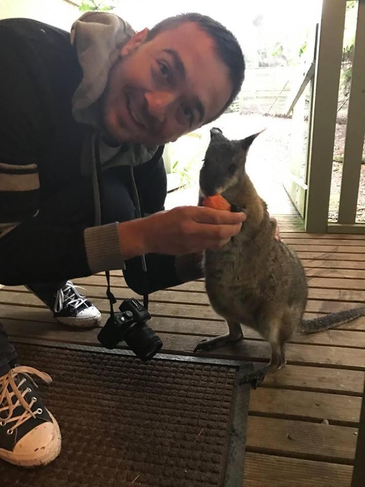 Fauna Australia Wildlife Retreat Lavers Hill Zewnętrze zdjęcie