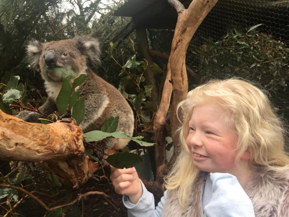 Fauna Australia Wildlife Retreat Lavers Hill Zewnętrze zdjęcie